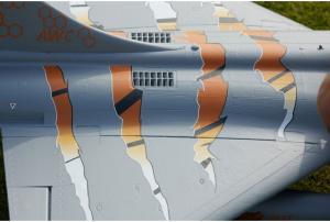 FMS Jet 64mm EDF Dassault Rafale PNP kit (Grey/Tiger) avec reflex system
